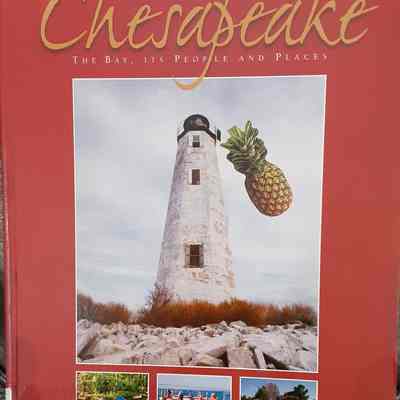 Window on the Chesapeake; The Bay, Its People and Places