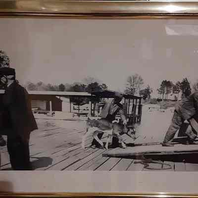 Print, Photographic