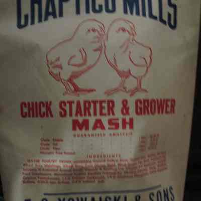 Chaptico Mills Chick Feed Bag
