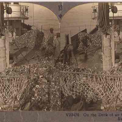 Stereopticon: On the Deck of an Oyster Boat, Chesapeake Bay, Md