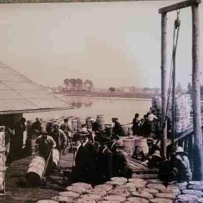 Print, photographic