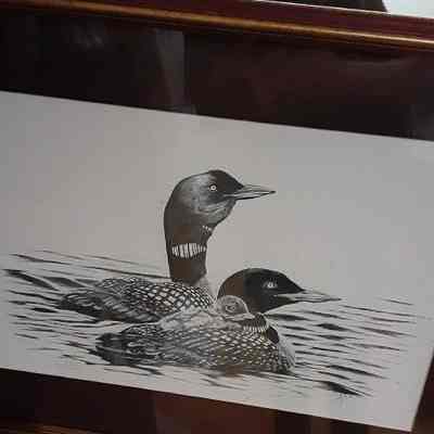 Ducks?