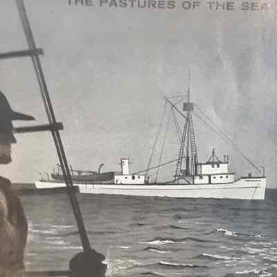 Menhaden: Natural Resources form the Pastures of the Sea