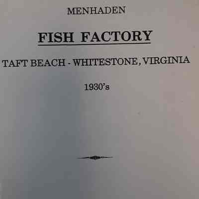 Medhaden Fish Factory Taft Beach - White Stone, Virginia 1930's
