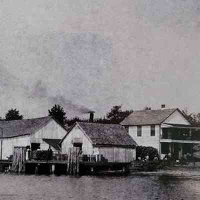 View from the river.