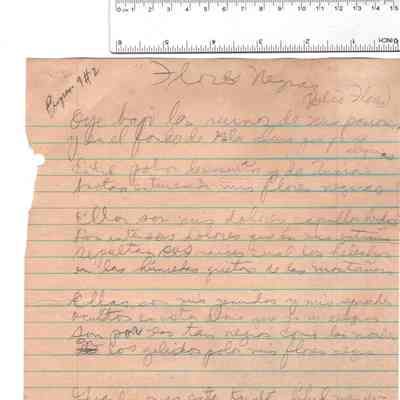 Flores negras Bayamón #2