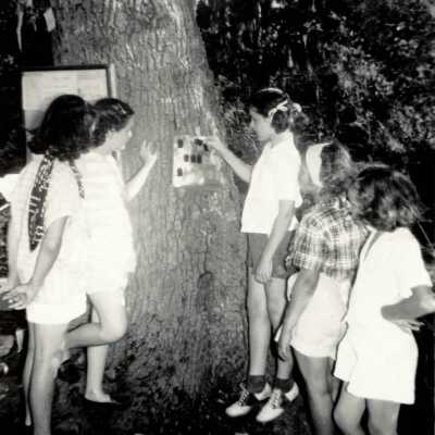 Image, Girl Scouts