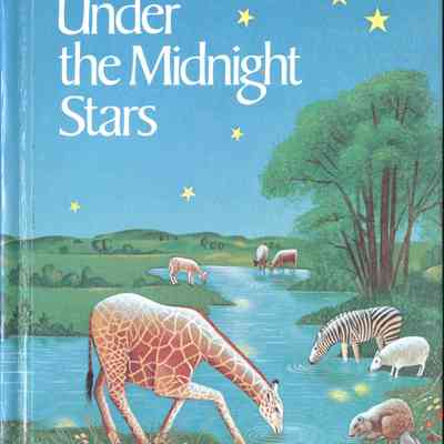 Book - Midnight Stars