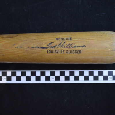 Williams Baseball Bat