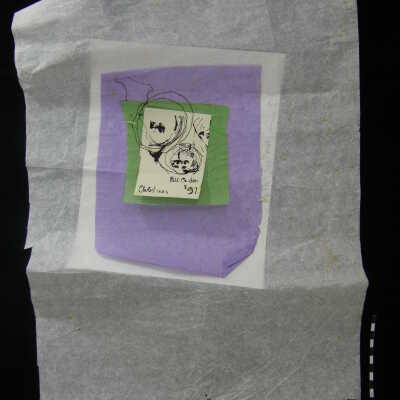 1997 Condon Art
