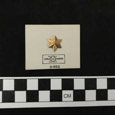 Girl Scout Pin