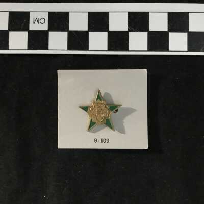 Girl Scout Pin