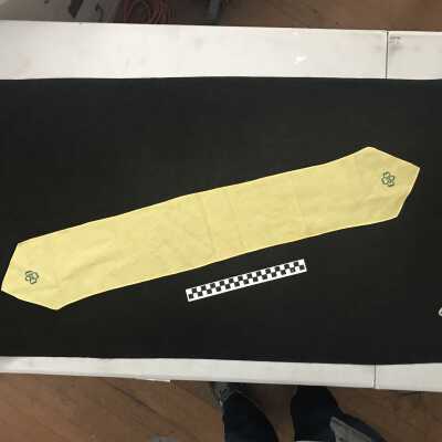 Girl Scout Tie