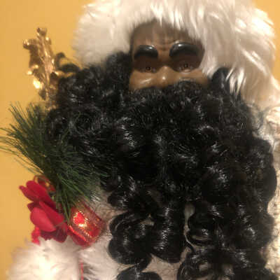 Polar Bear n Santa