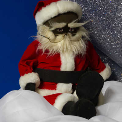 Jozee's Santa
