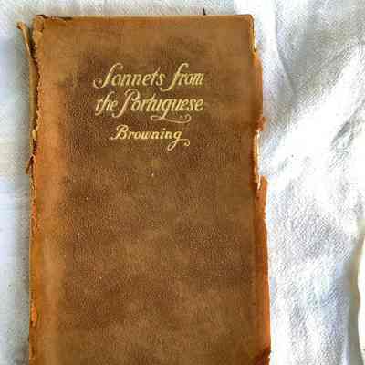 Sonnets From The Portuguese