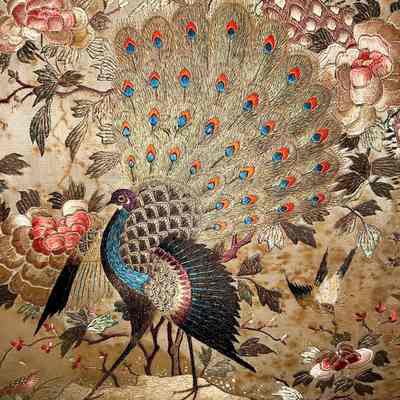 Peacock detail