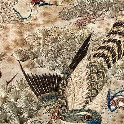 Bird detail
