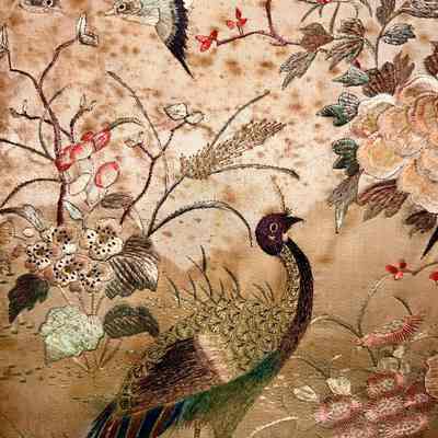 Bird detail
