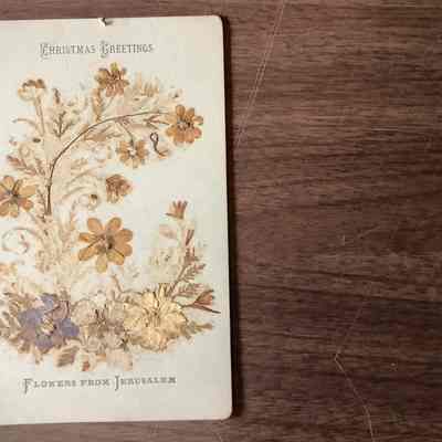 Dried flower card.