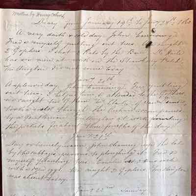 Letter #13 Daily diary of work on farm by Henry Cohen for 19-28 Jan 1860: Diary from Henry Cohen (Alfred's brother) describing the daily activities on the Cohen estate in Alameda