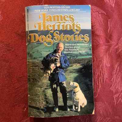Dog Stories