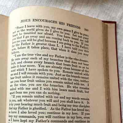 P 343 "Jesus Encourages His Friends"