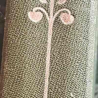 spine