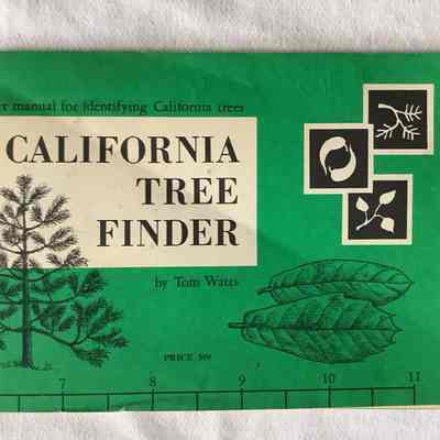 California Tree Finder