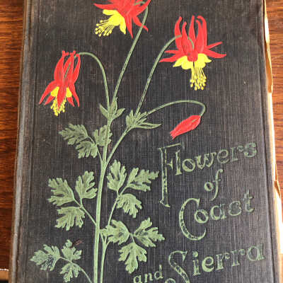 Flowers of Coast and Sierra