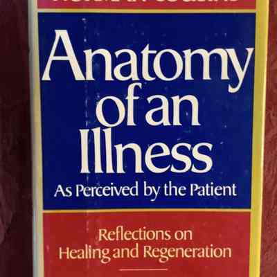 Anatomy of an Illness