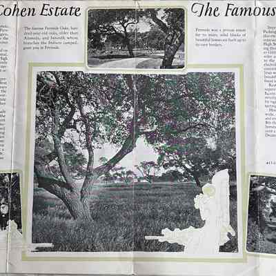 Fernside division after Emilie Cohen's death 1924