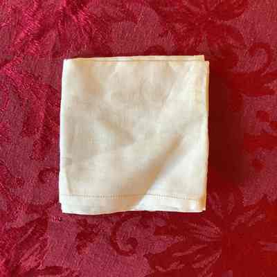 White Handkerchief
