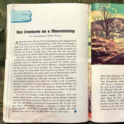 Pages 42-43: Sea Creatures on a Mountaintop, story and paintings by Philip Richards