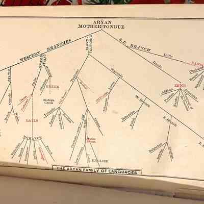 Language family tree: "Aryan Mother Tongue"  tree-diagram. Western Branch, S.E. Branch