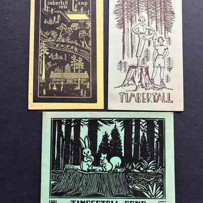 Pamphlets for Timbertall Camp: Cover is original artwork of Emelita Cohen
