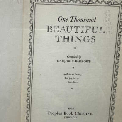 One thousand beautiful things