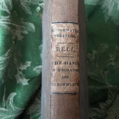 The Hand by Sir Charles Bell, K.G.H.1835