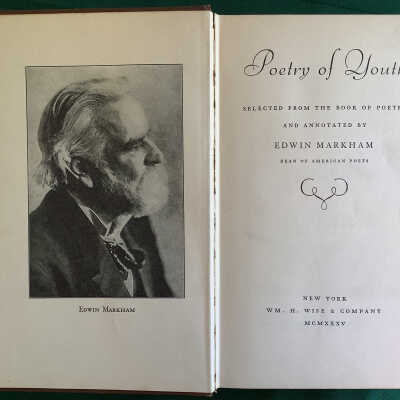 Poetry of Youth