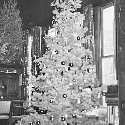 Earliest photo of Christmas Tree