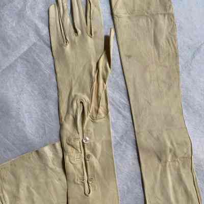 Kidskin Gloves