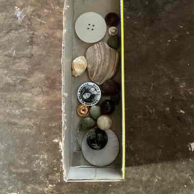 Box of buttons, marbles, and shells