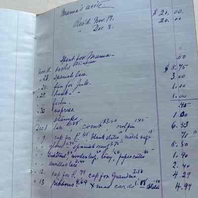 1881 Ledger page titled "Mama's accounts"