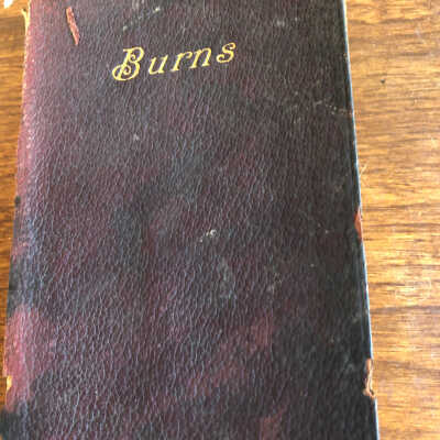 The Poetical Works of Robert Burns