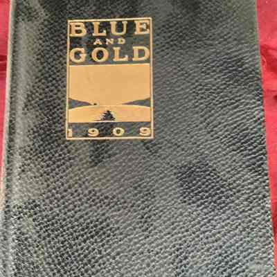 Blue and Gold 1909