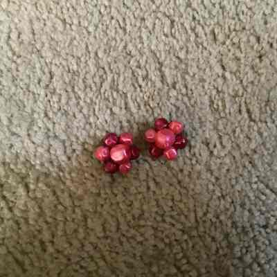 Pair of Clip on Red and Pink Cluster Earrings