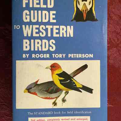 A Field Guide to Western Birds