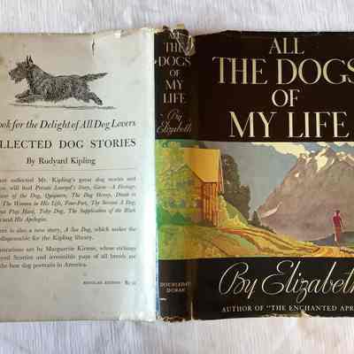 All The Dogs of My Life