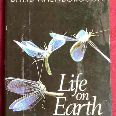 Life On Earth