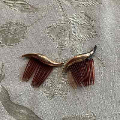 Pair of Hair Combs